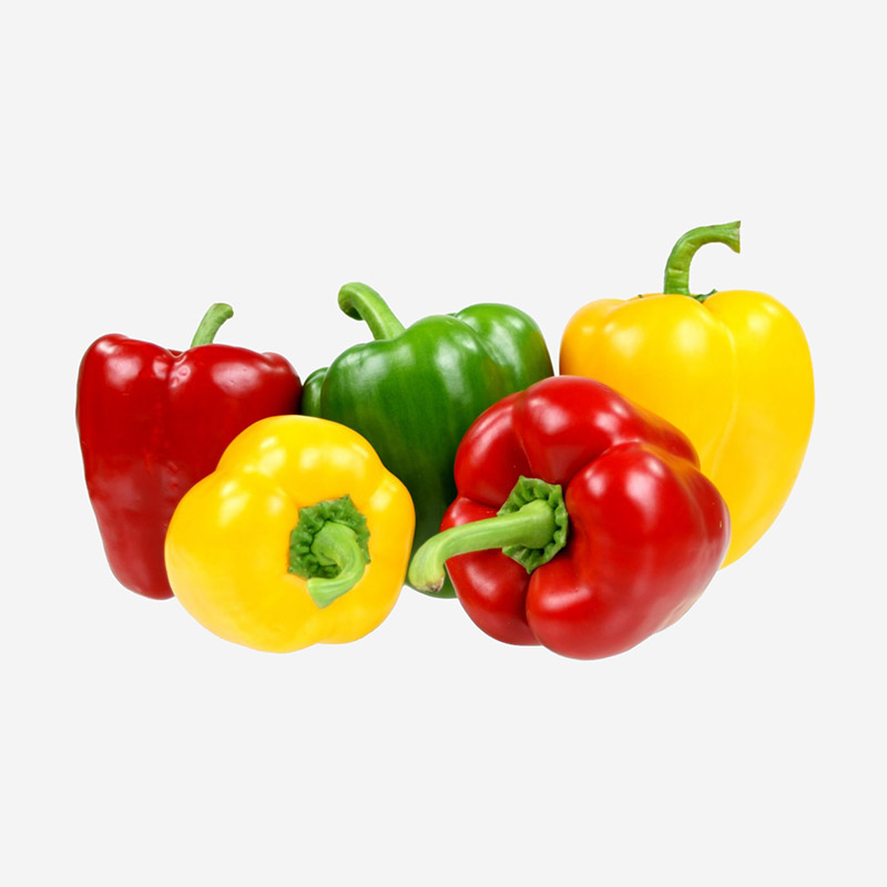 Bell-Pepper-Garden
