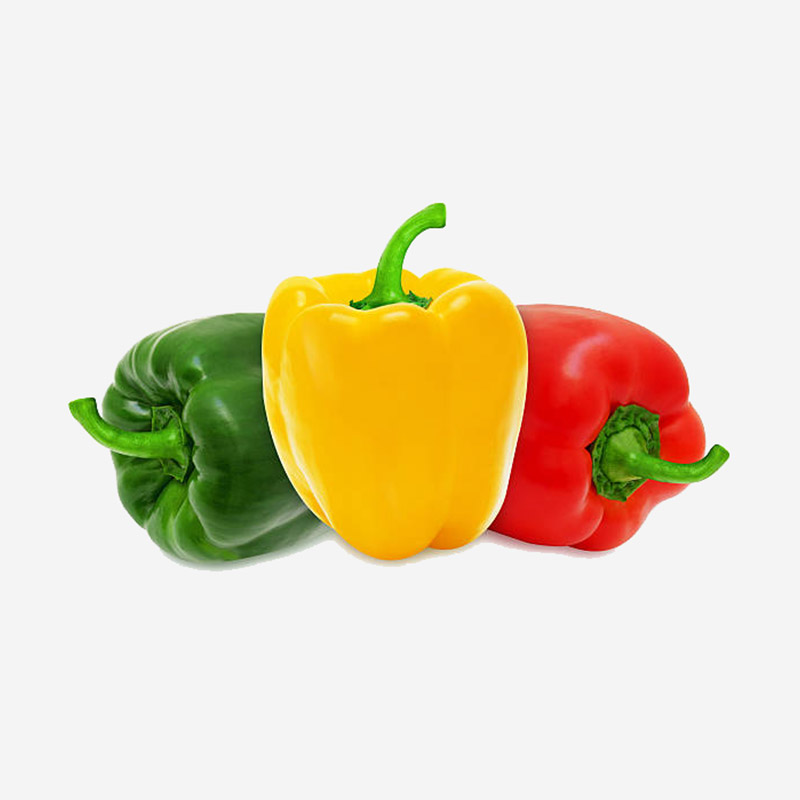 Bell-Pepper-JA